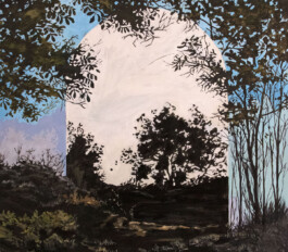 Luz María Fernández