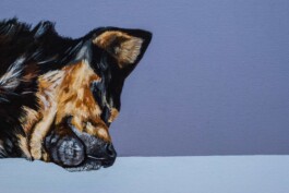 Luz María Fernández