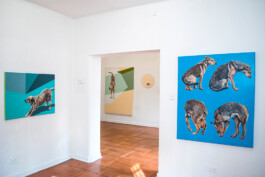 Luz María Fernández