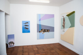 Luz María Fernández