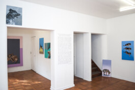 Luz María Fernández