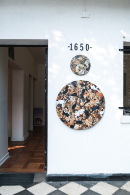 Luz María Fernández