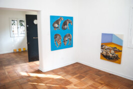 Luz María Fernández