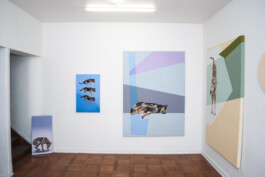 Luz María Fernández