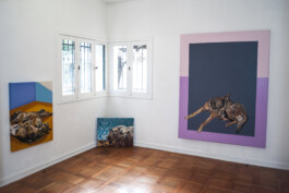 Luz María Fernández