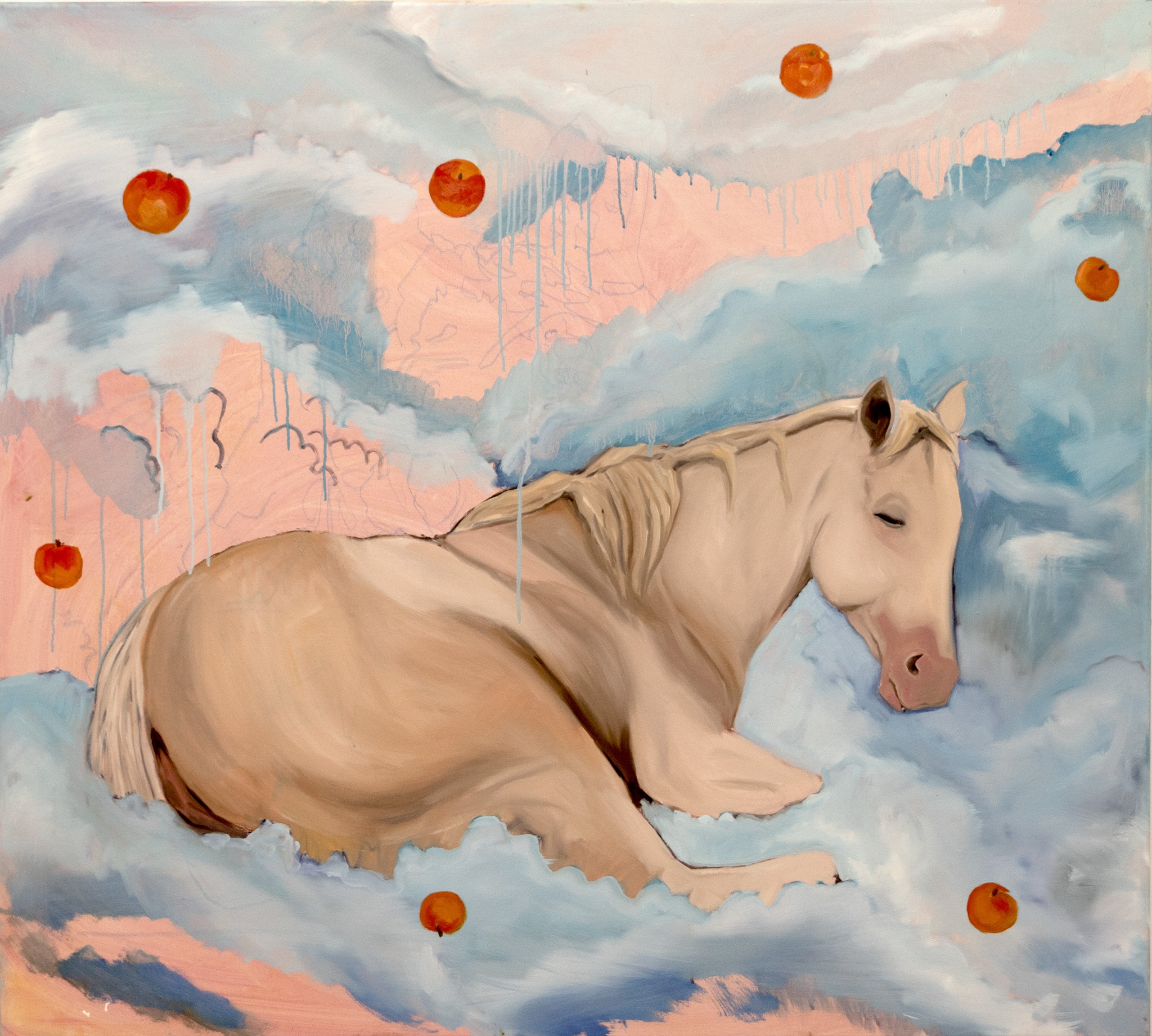 Caballo y cielo