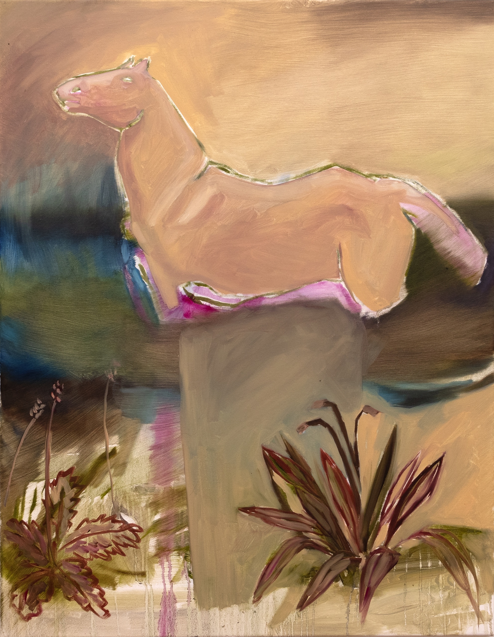 El pony que soñe