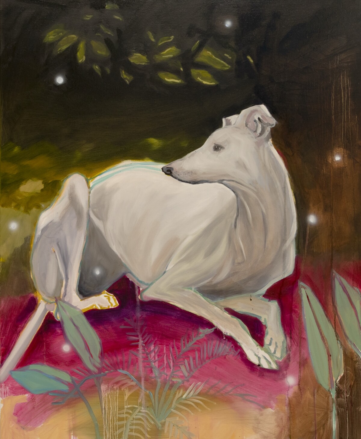 Perro galgo blanco